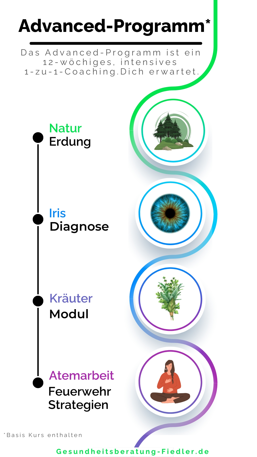 Beschreibung der Grafik